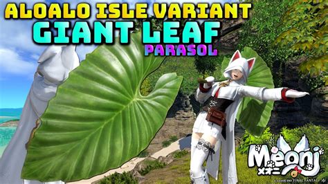 giant leaf parasol ff14.